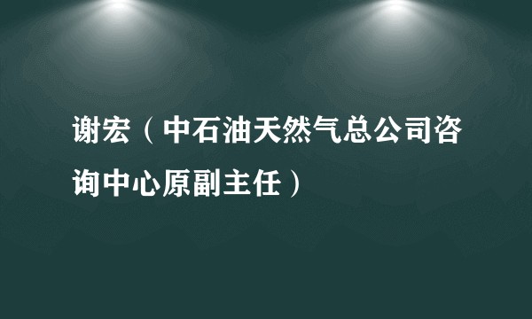谢宏（中石油天然气总公司咨询中心原副主任）