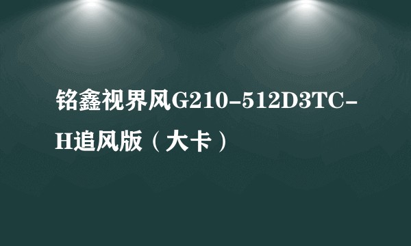 铭鑫视界风G210-512D3TC-H追风版（大卡）