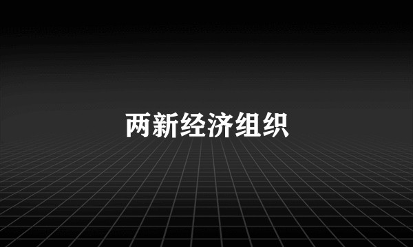 两新经济组织