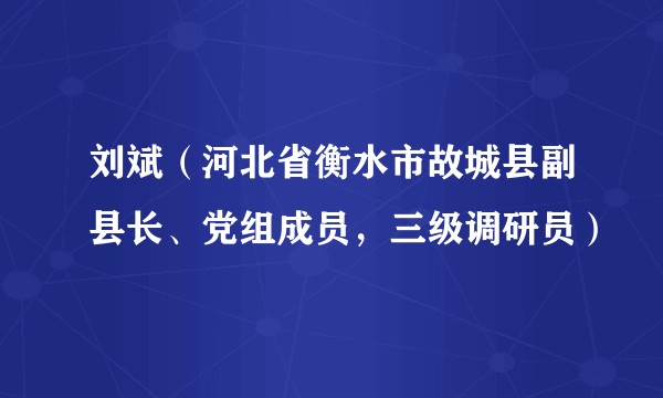 刘斌(河北省衡水市故城县副县长、党组成员,三级调研员)