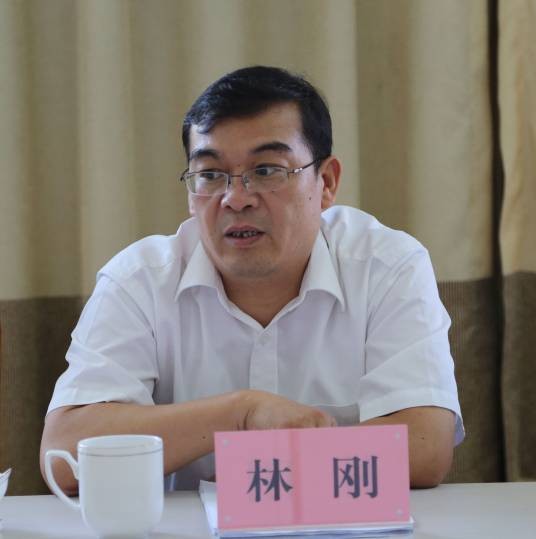 林刚（安徽省亳州市利辛县委原常委、县纪委原书记、县监委原主任、三级调研员、四级高级监察官）