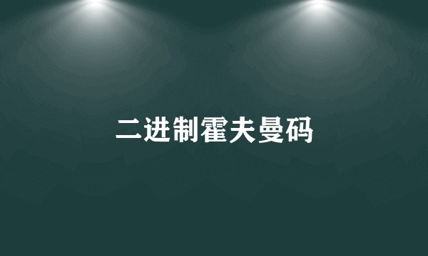 二进制霍夫曼码