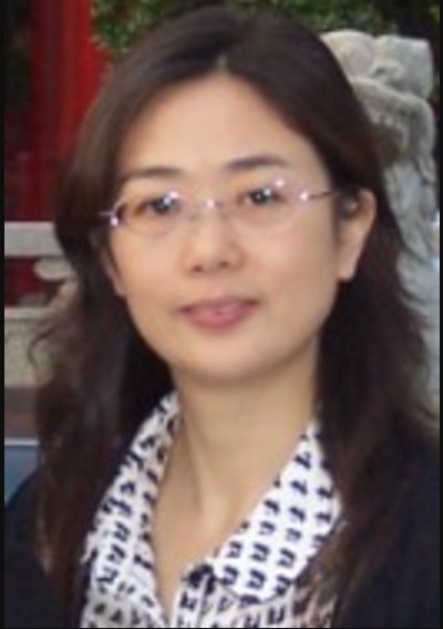 刘燕（北京大学软件与微电子学院副教授）