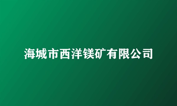 海城市西洋镁矿有限公司
