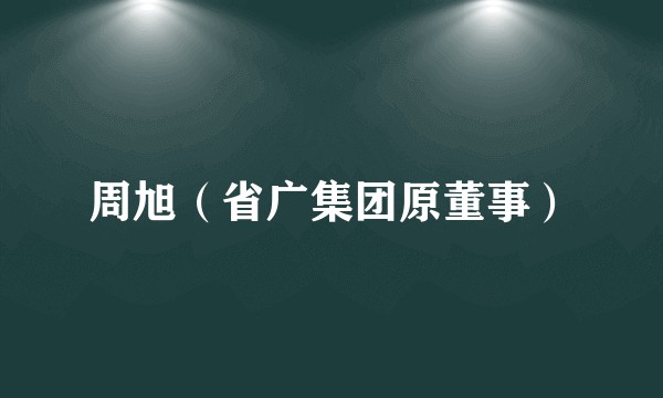 周旭（省广集团原董事）