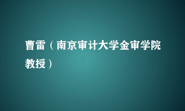 曹雷（南京审计大学金审学院教授）