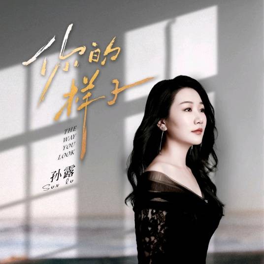 你的样子（2023年孙露演唱歌曲）