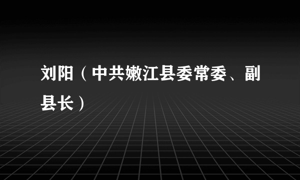刘阳（中共嫩江县委常委、副县长）
