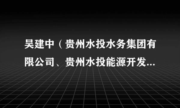 吴建中（贵州水投水务集团有限公司、贵州水投能源开发有限责任公司原副总经理）