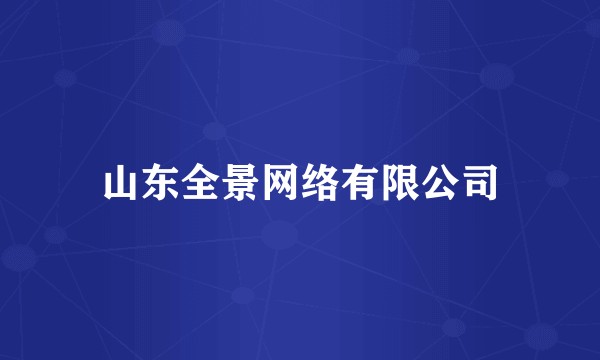 山东全景网络有限公司