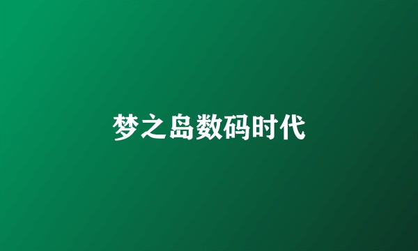 梦之岛数码时代