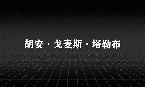 胡安·戈麦斯·塔勒布
