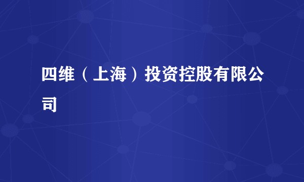 四维(上海)投资控股有限公司