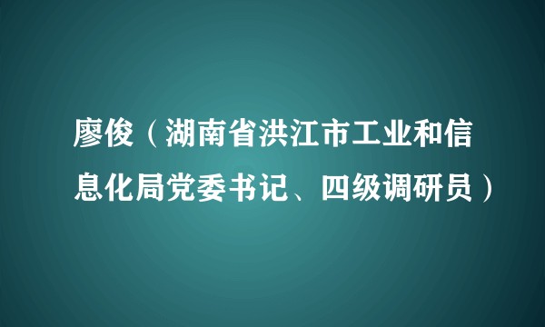 廖俊（湖南省洪江市工业和信息化局党委书记、四级调研员）