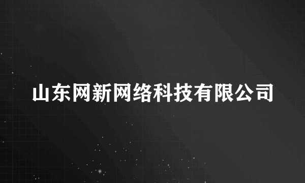山东网新网络科技有限公司