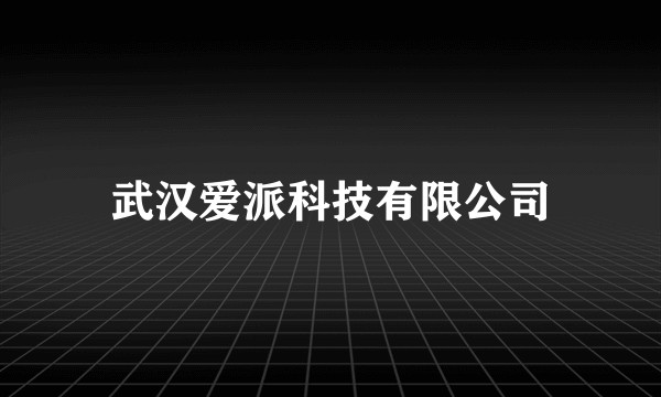 武汉爱派科技有限公司