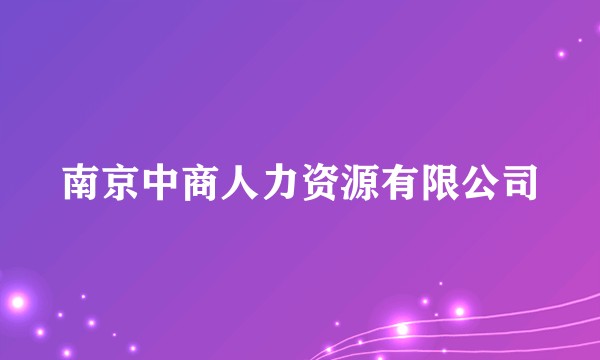 南京中商人力资源有限公司