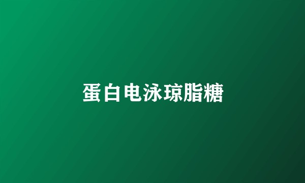蛋白电泳琼脂糖