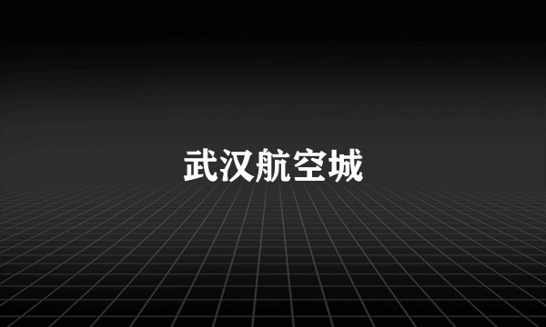 武汉航空城