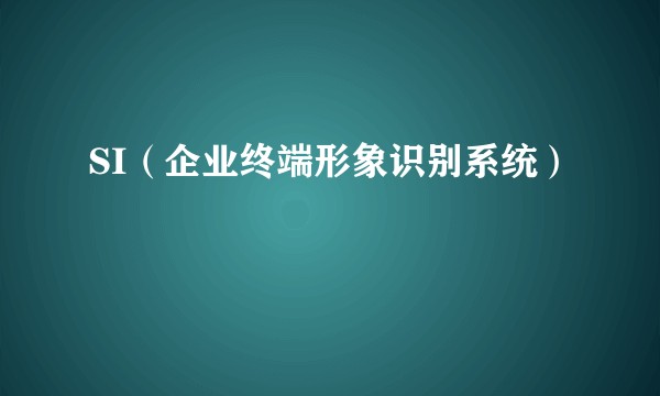 SI（企业终端形象识别系统）