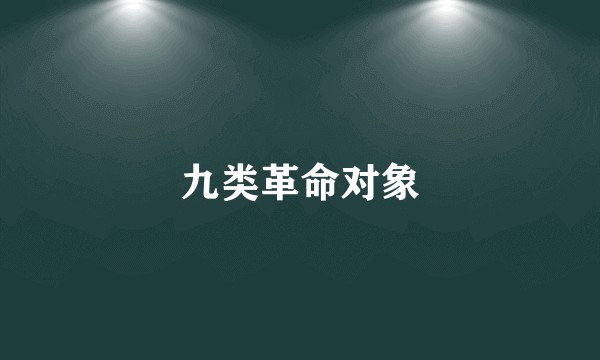 九类革命对象