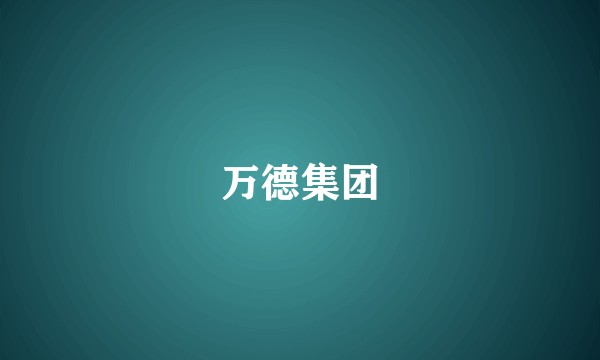 万德集团