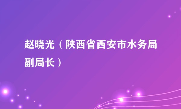 赵晓光（陕西省西安市水务局副局长）