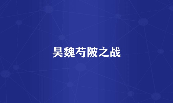 吴魏芍陂之战