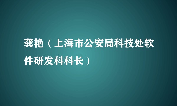 龚艳（上海市公安局科技处软件研发科科长）