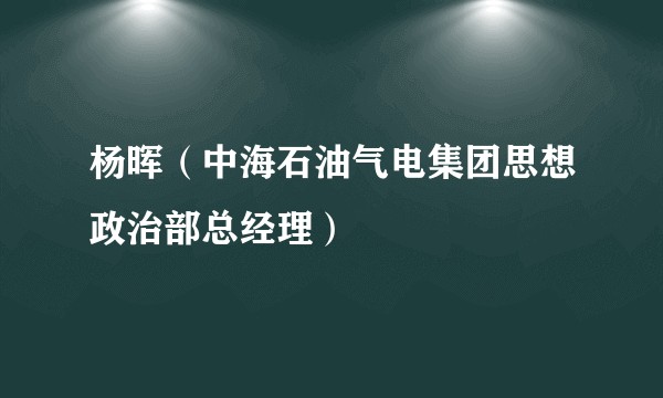 杨晖(中海石油气电集团思想政治部总经理)
