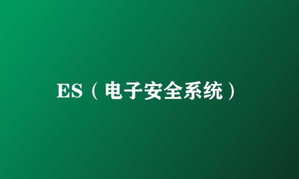 ES（电子安全系统）