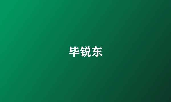 毕锐东