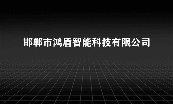 邯郸市鸿盾智能科技有限公司