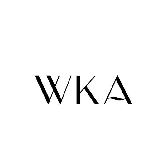 WKA小黑盒