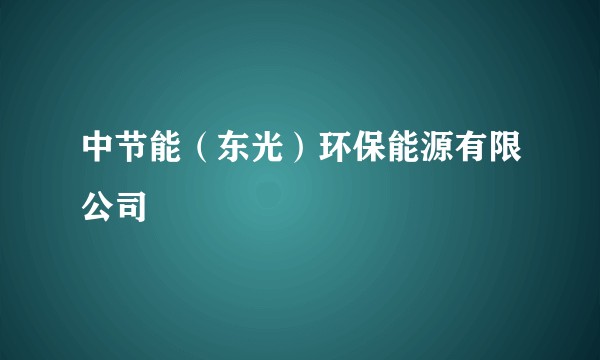 中节能(东光)环保能源有限公司