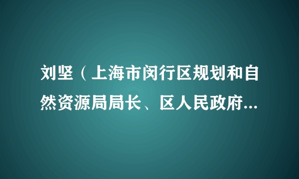 刘坚（上海市闵行区规划和自然资源局局长、区人民政府办公室主任）