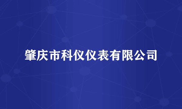 肇庆市科仪仪表有限公司