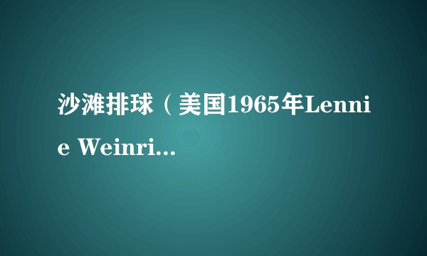 沙滩排球（美国1965年Lennie Weinrib执导的喜剧、歌舞类电影）