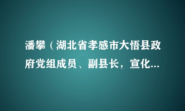 潘攀（湖北省孝感市大悟县政府党组成员、副县长，宣化店镇党委书记）