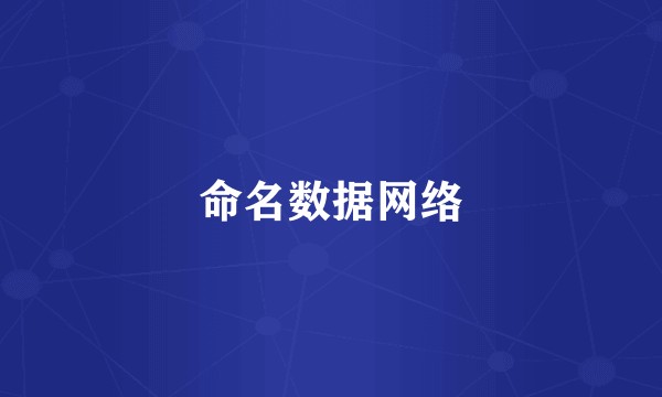 命名数据网络