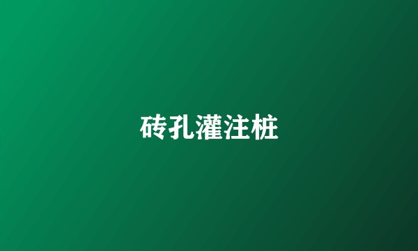 砖孔灌注桩