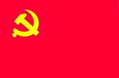 党费（党的事业和党组织的活动经费）