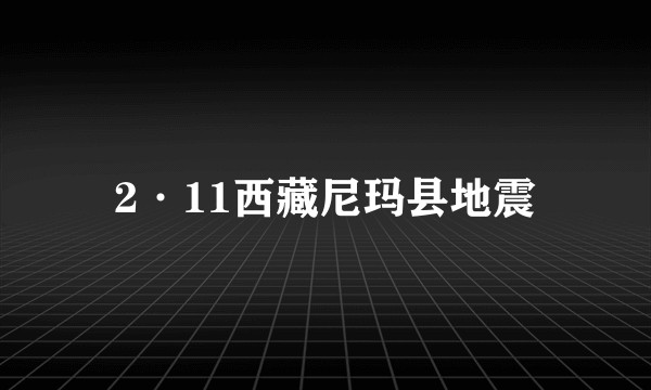 2·11西藏尼玛县地震