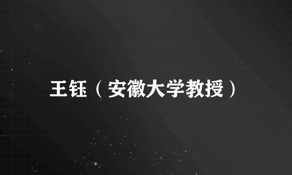 王钰（安徽大学教授）