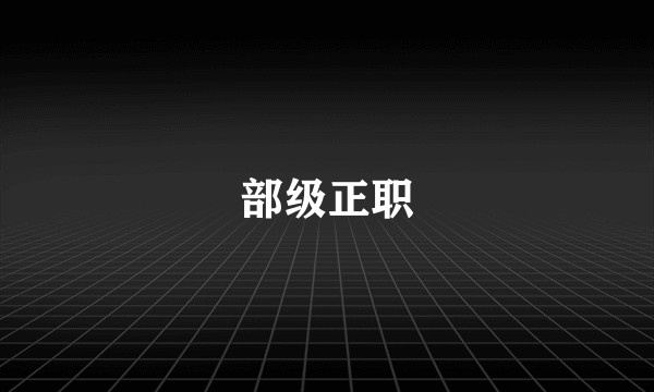 部级正职