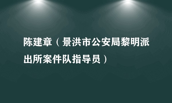 陈建章（景洪市公安局黎明派出所案件队指导员）
