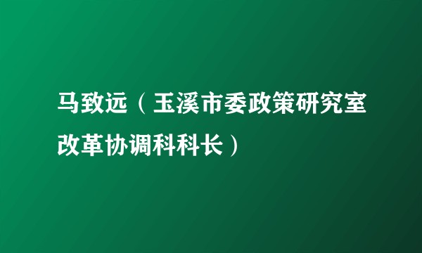 马致远（玉溪市委政策研究室改革协调科科长）
