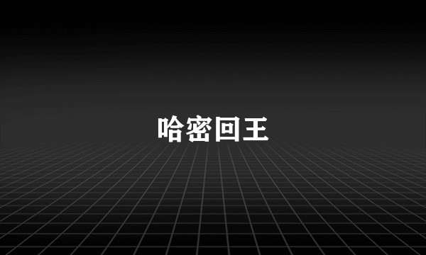哈密回王