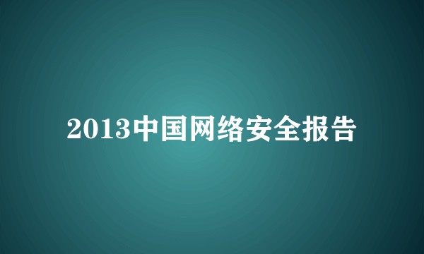 2013中国网络安全报告