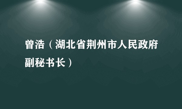 曾浩（湖北省荆州市人民政府副秘书长）